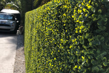 Artificial Ivy Hedge